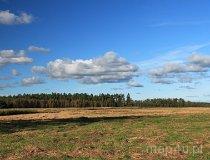 Rezerwat przyrody „Świdwie” (fot. Jarosław Świerczyński)