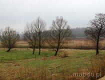 Rzeka Wieprza na Cysterskim Szlaku Samochodowym (fot. Łukasz Konieczny)