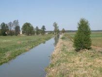 Rzeka Pyszna w Skrzynnie (fot. Marta Pabich-Makoska)