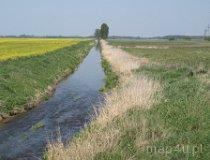 Rzeka Pyszna na północny-zachód od Masłowic (fot. Marta Pabich-Makoska)