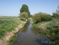 Rzeka Pyszna (fot. Marta Pabich-Makoska)