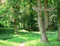 Konopnica. Malowniczy park wiejski położony w centrum Konopnicy, stanowi znakomite miejsce do odpoczynku i spacerów wśród zieleni i szumu przepływającej rzeczki (fot. Renata Leśniak-Kordzińska)