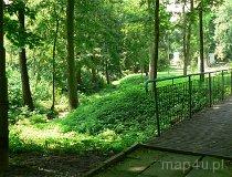 Konopnica. Malowniczy park wiejski położony w centrum Konopnicy (fot. Renata Leśniak-Kordzińska)