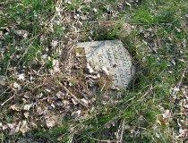 Wieruszów. Cmentarz żydowski (fot. Tomasz Szwagrzak)