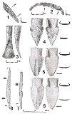 Skarb narzędzi rolniczych z osady w Toporowie 1-fragment półkoska, 2-sierp, 3-motyka, 4, 5, 8-radlice, 6, 7-kroje (fot. K. Trzebiatowska)
