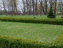Bełchat&oacute;w. Zesp&oacute;ł dworsko-parkowy Olszewskich (obecnie Muzeum Regionalne w Bełchatowie). Park dworski (fot. Piotr Solle)
