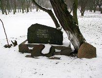 Kiernozia. Zespół pałacowy, XIX w. Park i ogrodzenie (fot. Tomasz Szwagrzak)
