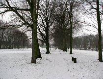 Kiernozia. Zespół pałacowy, XIX w. Park i ogrodzenie (fot. Tomasz Szwagrzak)