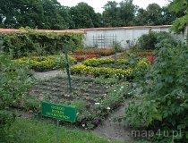 Niebor&oacute;w. Zesp&oacute;ł pałacowo-parkowy Radziwiłł&oacute;w. Ogr&oacute;d. (fot. Dominika Pusta.)