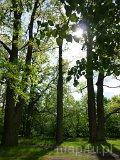 Piotrków Trybunalski. Zamek rodziny Bykowskich z XVII w., zieleń parkowa od strony południowej zamku (fot. Renata Leśniak-Kordzińska)