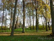 Pławno. Założenie dworsko - parkowe. (fot. Renata Leśniak-Kordzińska)