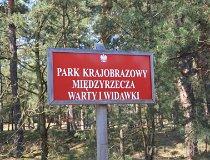 Park Krajobrazowy Międzyrzecza Warty i Widawki (fot. Agnieszka Rytel)