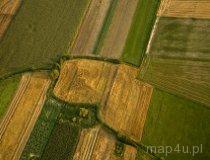 Słabo zachowane w terenie 2 stożkowate nasypy ziemne-kopce (fot. Kacper Dondziak)