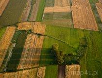 Słabo zachowane w terenie 2 stożkowate nasypy ziemne-kopce (fot. Kacper Dondziak)