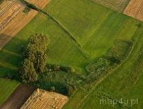 Słabo zachowane w terenie 2 stożkowate nasypy ziemne-kopce (fot. Kacper Dondziak)