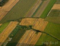 Słabo zachowane w terenie 2 stożkowate nasypy ziemne-kopce (fot. Kacper Dondziak)