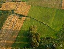 Słabo zachowane w terenie 2 stożkowate nasypy ziemne-kopce (fot. Kacper Dondziak)