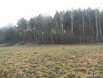 Rawa Mazowiecka. Grodzisko Anielska Góra (fot. Piotr Solle)
