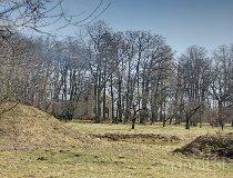 Jajkowice. Zespół dworsko-parkowy „Emilin”, 1820 r. Park (fot. Marek Krym)