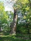 Niechmirów. Park podworski. (fot. Arkadiusz Makoski)