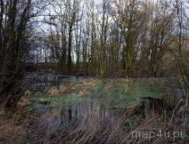 Charłupia Wielka. Zesp&oacute;ł dworski, 1 poł. XIX w. Park dworski z kopcem oblanym fosą, pozostałość fortalicji Malskich z XV wieku (fot. Piotr Solle)