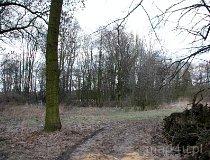 Charłupia Wielka. Zesp&oacute;ł dworski, 1 poł. XIX w. Park dworski z kopcem oblanym fosą, pozostałość fortalicji Malskich z XV wieku (fot. Tomasz Szwagrzak)