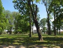 Złoczew. Park przy pałacu Ruszkowskich (fot. Bartosz Stępień)