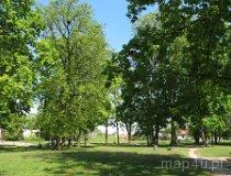 Złoczew. Park przy pałacu Ruszkowskich (fot. Bartosz Stępień)