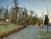 Węgrzynowice. Zespół dworsko-parkowy. Park (fot. Marek Krym)