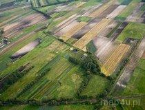 Czerch&oacute;w. Grodzisko pierścieniowate z podgrodziem (fot. Kacper Dondziak)