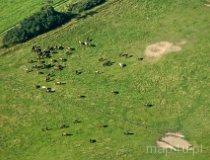 Ktery. Grodzisko stożkowate o spłaszczonym wierzchołku oraz okolone wałem i fosą jest reliktem założenia mieszkalno-obronnego z XIII-XIV w (fot. Kacper Dondziak)