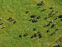 Ktery. Grodzisko stożkowate o spłaszczonym wierzchołku oraz okolone wałem i fosą jest reliktem założenia mieszkalno-obronnego z XIII-XIV w (fot. Kacper Dondziak)