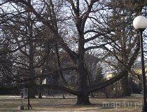 Łódź. Park im. Michała Klepacza (fot. Maciej Bartczak)
