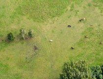 Kluki. Stajnia „Uroczysko Kluki" (fot. Kacper Dondziak)