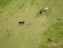 Kluki. Stajnia „Uroczysko Kluki" (fot. Kacper Dondziak)