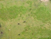 Kluki. Stajnia „Uroczysko Kluki" (fot. Kacper Dondziak)