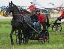 Buczek. Gospodarstwo agroturystyczne „Stajnia stokrotka”. Pokazy na pikniku lotniczym w Łasku (fot. M. Olejnik)