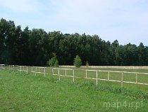 Grabów. Stajnia Tuszyński Klub Jeździecki Grabówek. (fot. Leszek Łuchniak)