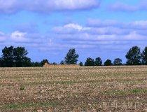 Dłutów. Okolice (fot. Łukasz Konieczny)