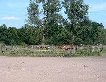 Budy Grabskie.Ośrodek jazdy konnej "Tarant"