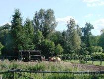 Budy Grabskie.Ośrodek jazdy konnej "Tarant"