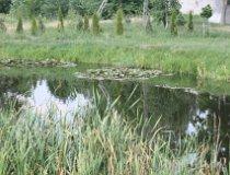 Lutomiersk. (fot. Łukasz Wandachowicz)