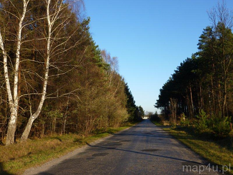 Wojciechów. Trasa szlaku konnego. (fot. Renata Leśniak-Kordzińska)