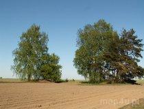 Łubna-Jakusy. Cmentarzysko kurhanowe (fot. Piotr Solle)