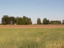 Łubna-Jakusy. Cmentarzysko kurhanowe (fot. Piotr Solle)