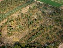 Łubna-Jakusy. Cmentarzysko kurhanowe (fot. Kacper Dondziak)