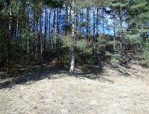 Rzeczk&oacute;w. Grodzisko średniowieczne (fot. Marek Krym)