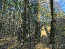 Rzeczk&oacute;w. Grodzisko średniowieczne (fot. Marek Krym)