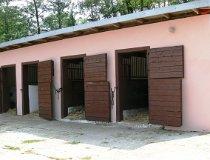 Grotniki. Boksy (fot. Łukasz Konieczny)