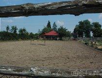 Helen&oacute;w. Ludowy Klub Jeździecki "Mała Stajnia", Helen&oacute;w 21, widok na ośrodek i konie (fot. Piotr Wojtaszek)